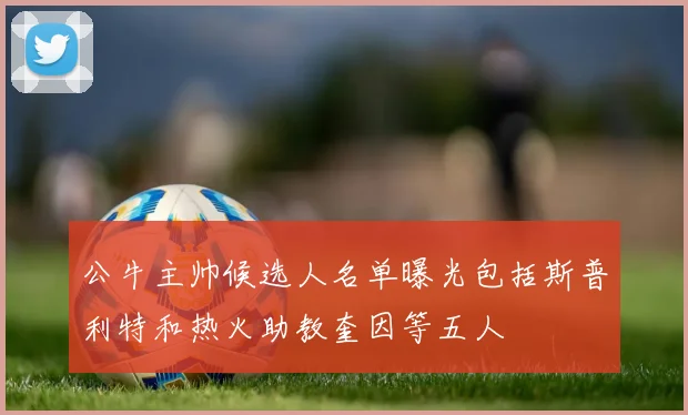 公牛主帅候选人名单曝光包括斯普利特和热火助教奎因等五人